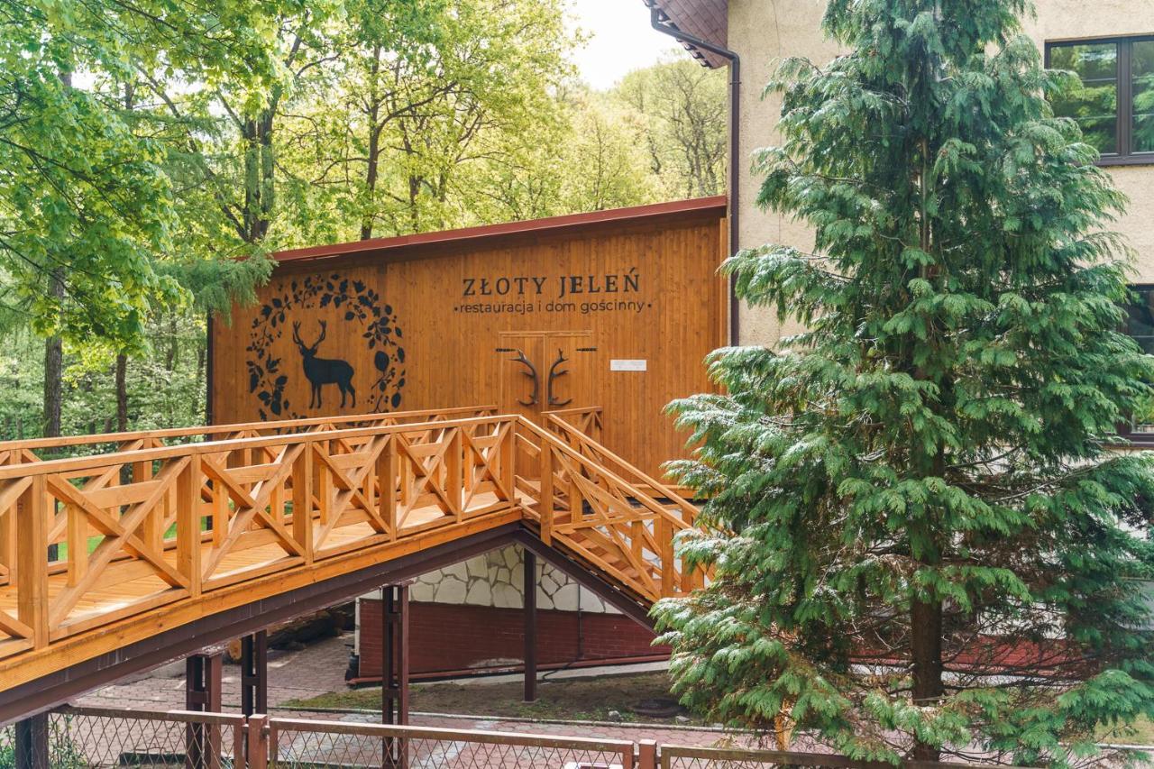 Zloty Jelen - Restauracja I Dom Goscinny Potok Zloty Buitenkant foto